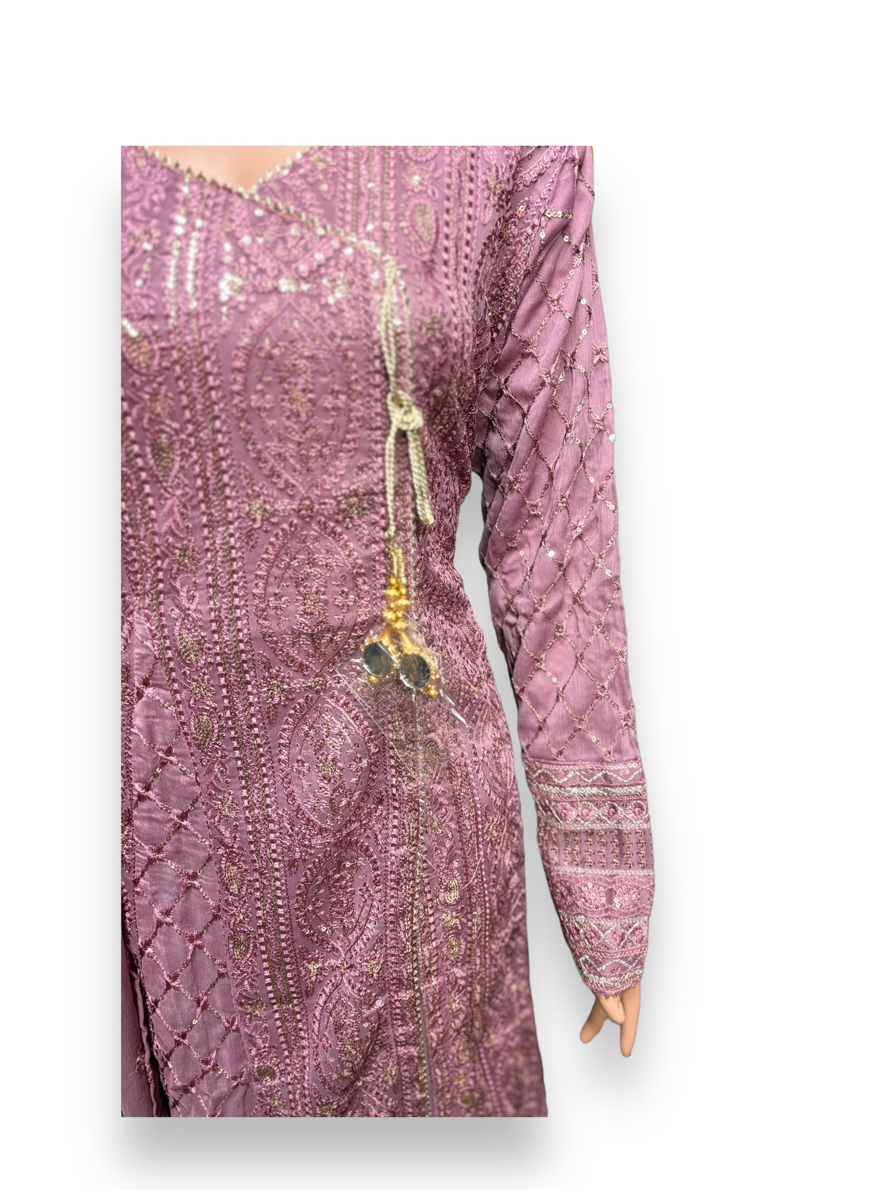Traditional Saree Ghor Charlotte designer Salwar Kameez set for women, featuring intricate embroidery and vibrant ethnic style.