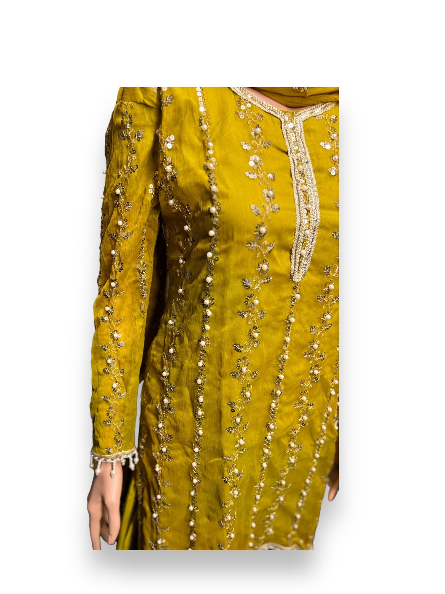 Traditional Great Value Designer Salwar Kameez-Ethnic Wear for Women - 203 - Saree Ghor Charlotte