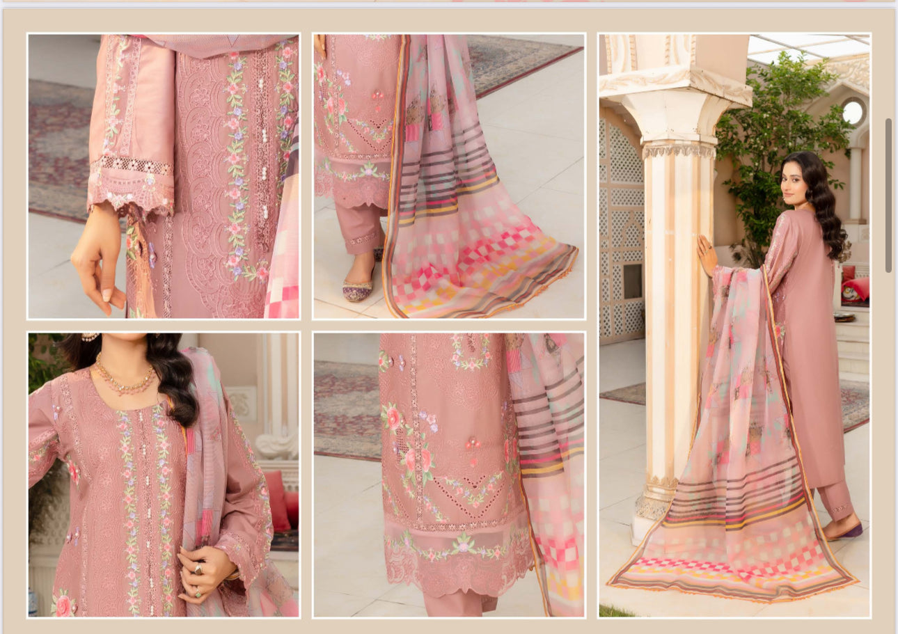 Traditional Pakistani Salwar Kameez by Saree Ghor Charlotte with intricate embroidery, ethnic wear for women, vibrant and elegant.