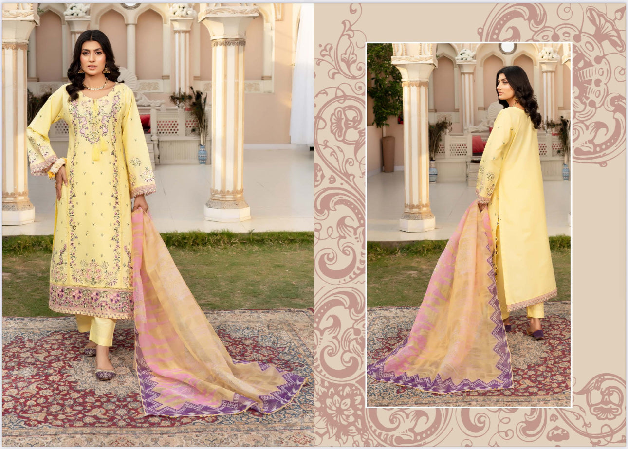 Traditional Pakistani Salwar Kameez by Saree Ghor Charlotte featuring intricate embroidery and vibrant ethnic wear for women.