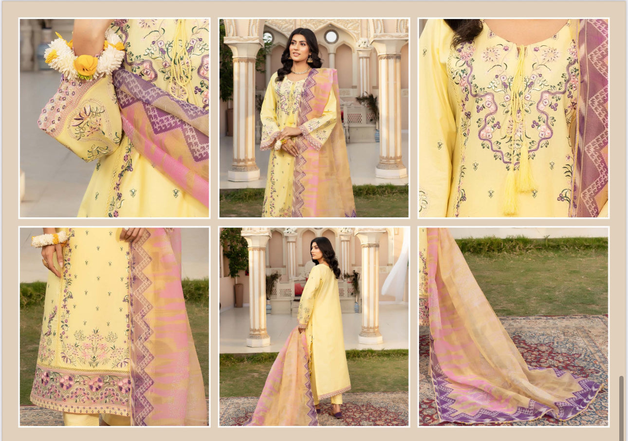 Traditional Pakistani Salwar Kameez by Saree Ghor Charlotte, ethnic cultural wear for women, featuring vibrant fabric and intricate design.