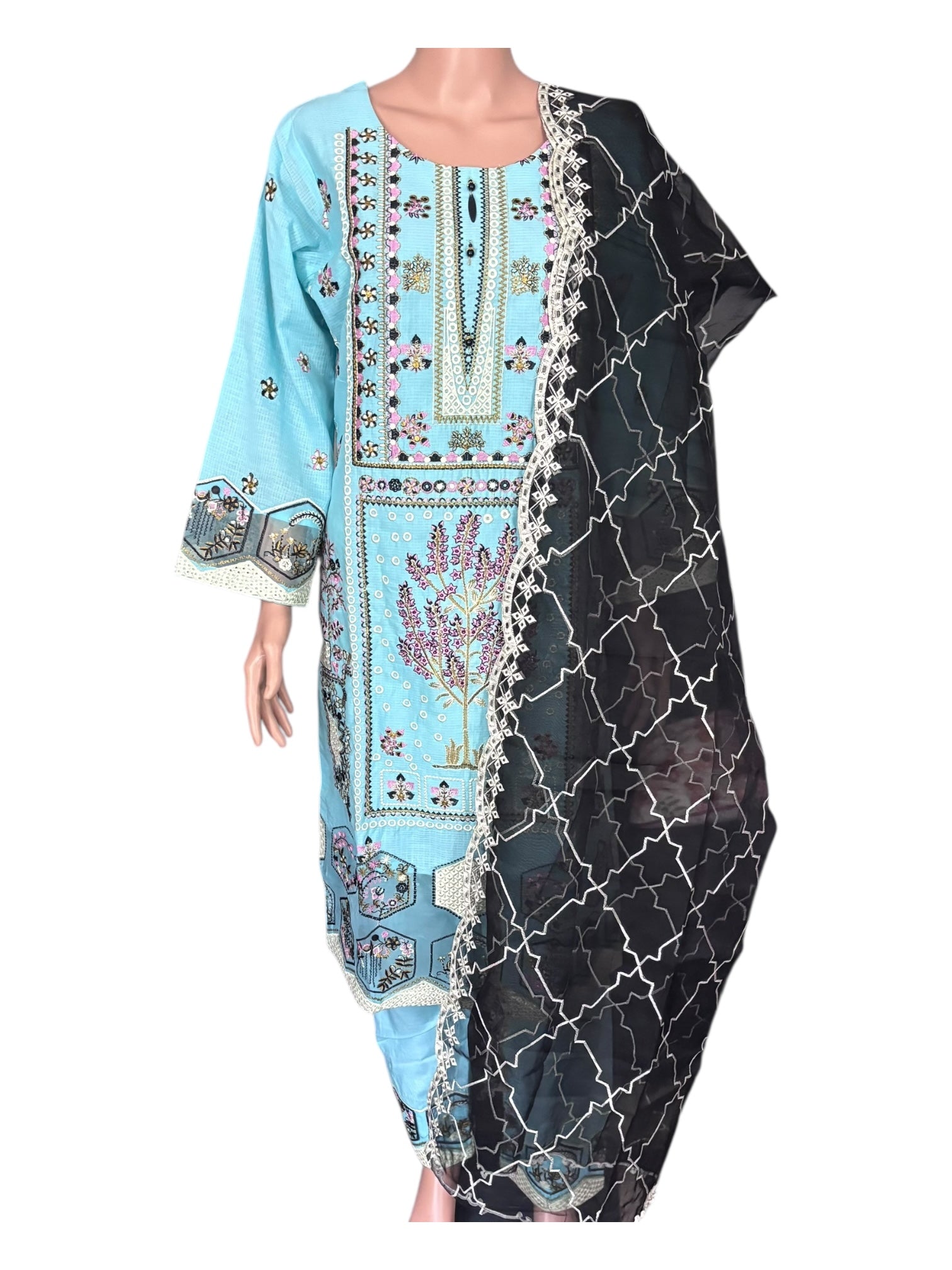 Traditional Pakistani Salwar Kameez by Saree Ghor Charlotte, ethnic wear for women, featuring vibrant fabric and intricate design.