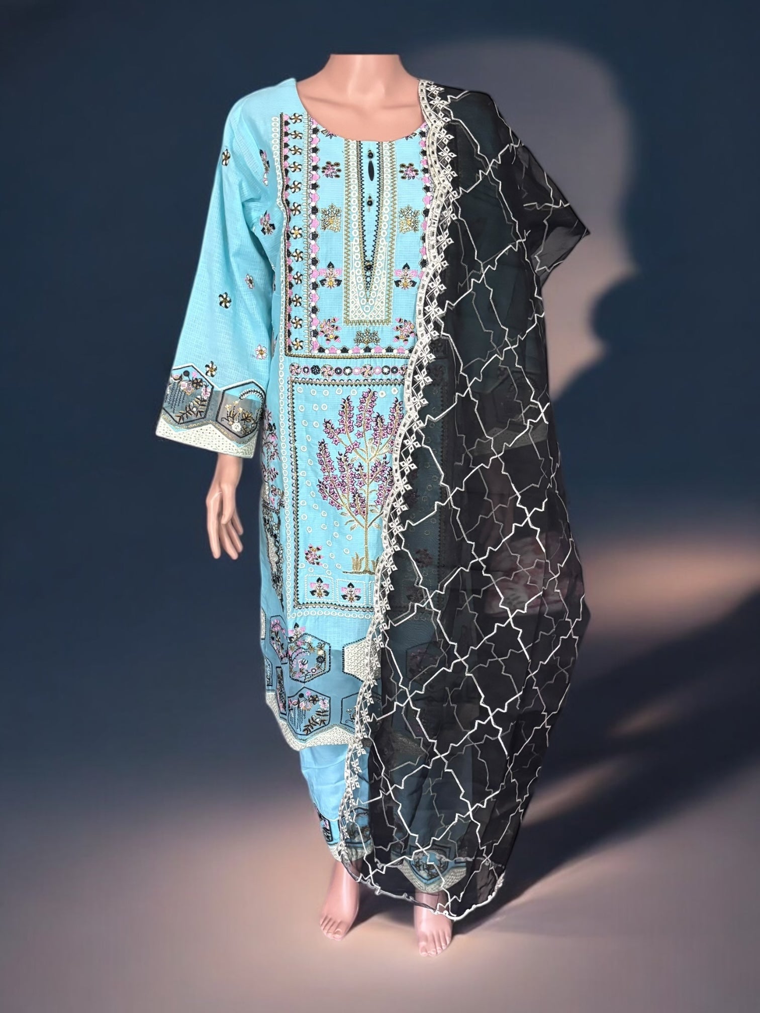 Traditional Pakistani Salwar Kameez by Saree Ghor Charlotte, elegant ethnic wear for women with intricate design details.