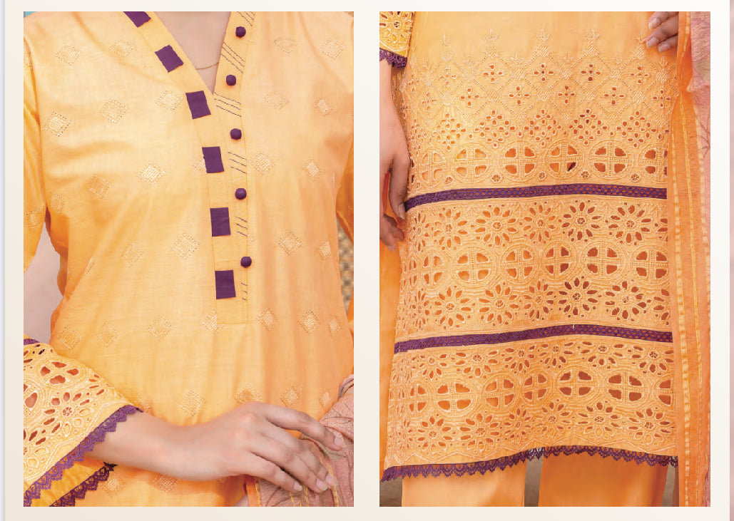 Traditional Pakistani Salwar Kameez set by Saree Ghor Charlotte, featuring intricate embroidery and vibrant fabric for women.