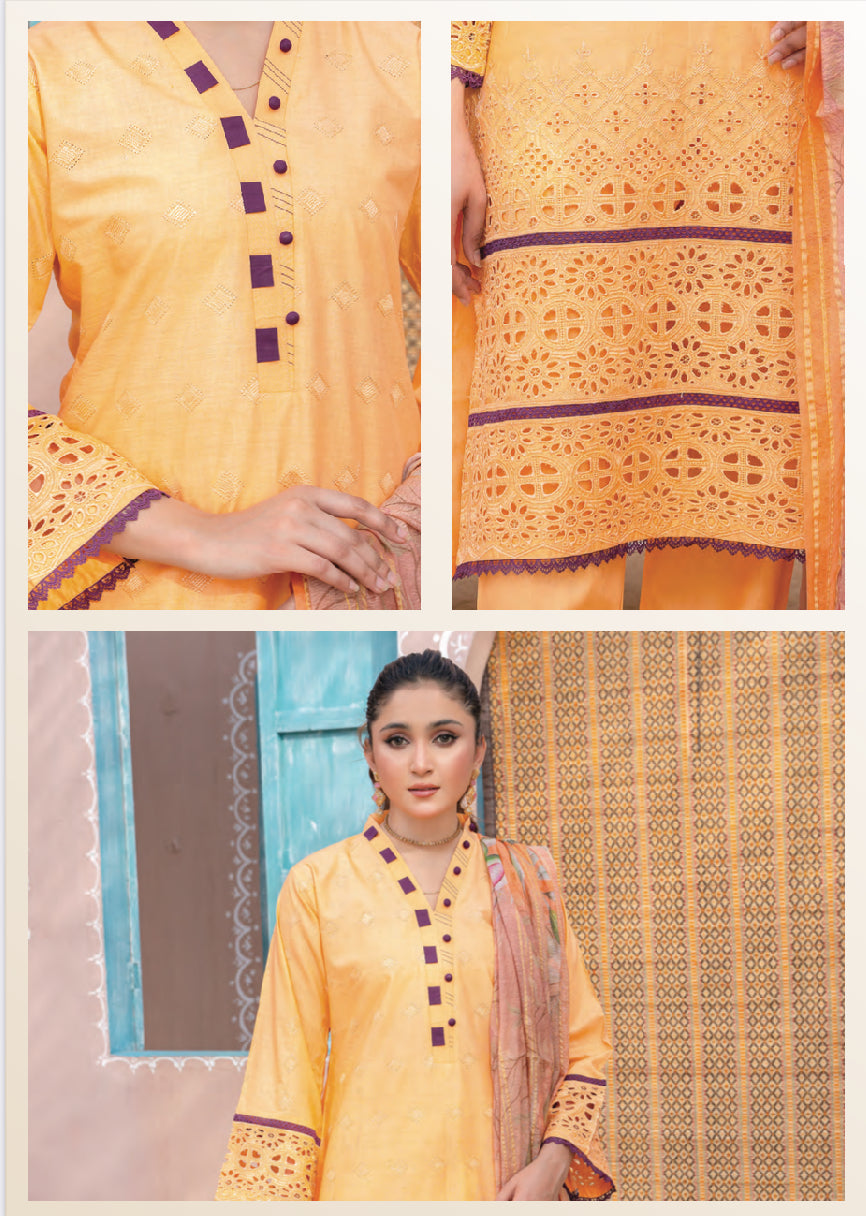 Traditional Pakistani Salwar Kameez set by Saree Ghor Charlotte featuring vibrant fabric and elegant ethnic wear for women.