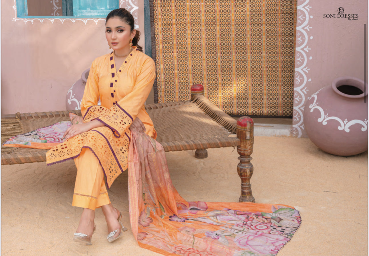 Traditional Pakistani Salwar Kameez set by Saree Ghor Charlotte, featuring vibrant ethnic wear for women with intricate designs.