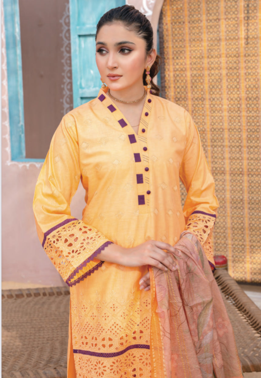 Traditional Pakistani Salwar Kameez set by Saree Ghor Charlotte, colorful ethnic wear for women with intricate design details.