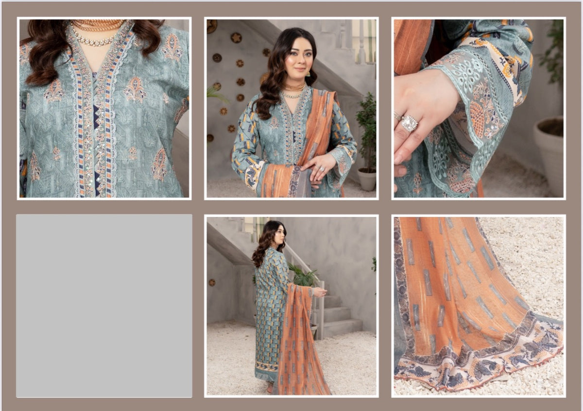 Traditional Pakistani Salwar Kameez by Saree Ghor Charlotte, ethnic women's suit with intricate embroidery and vibrant fabric.
