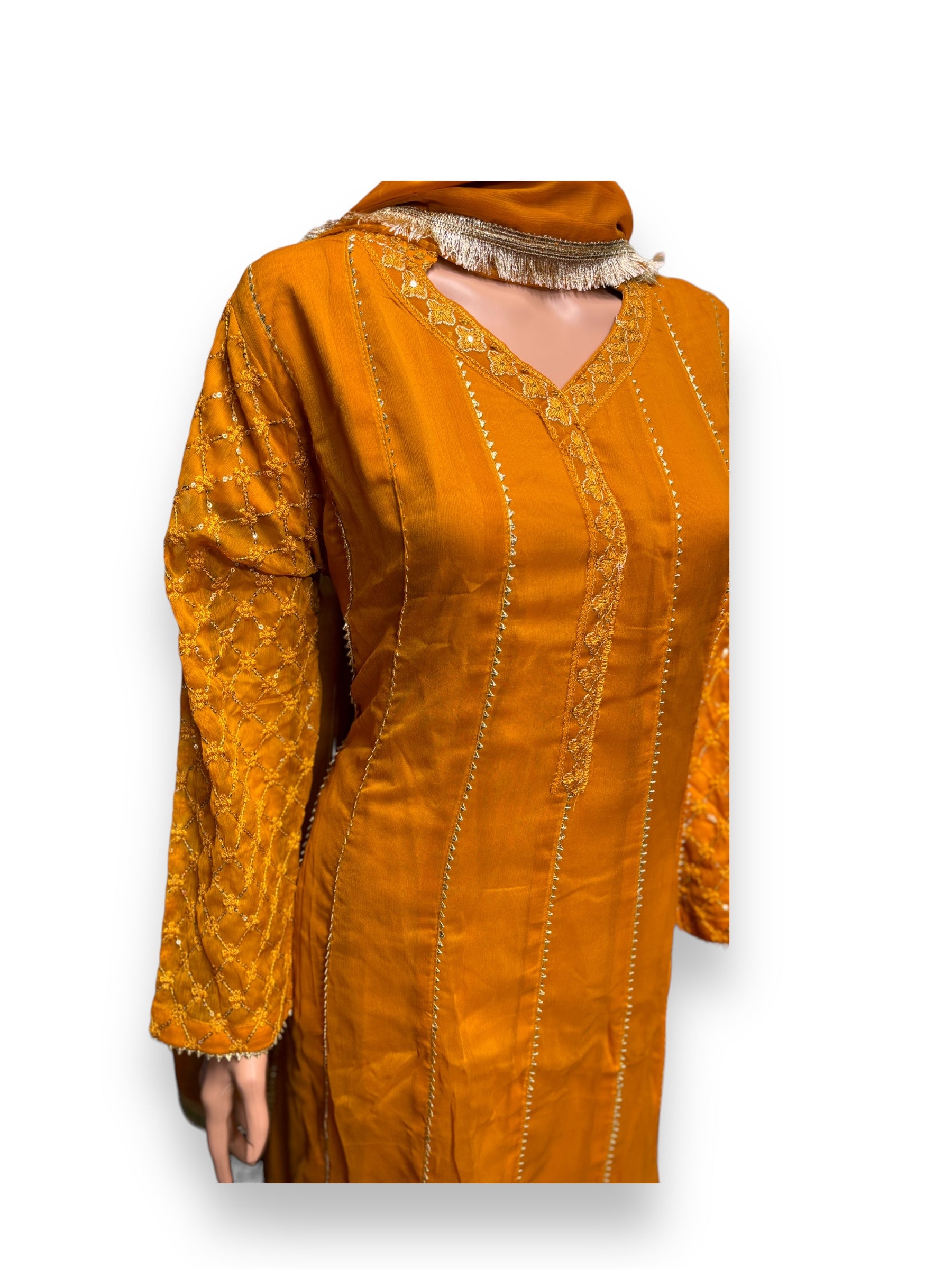 Traditional Saree Ghor Charlotte Salwar Kameez for women, ethnic party wear dress with intricate embroidery and vibrant colors.