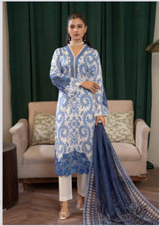 Pakistani Salwar Kameez set by Saree Ghor Charlotte, traditional ethnic wear for women with intricate design and vibrant colors.