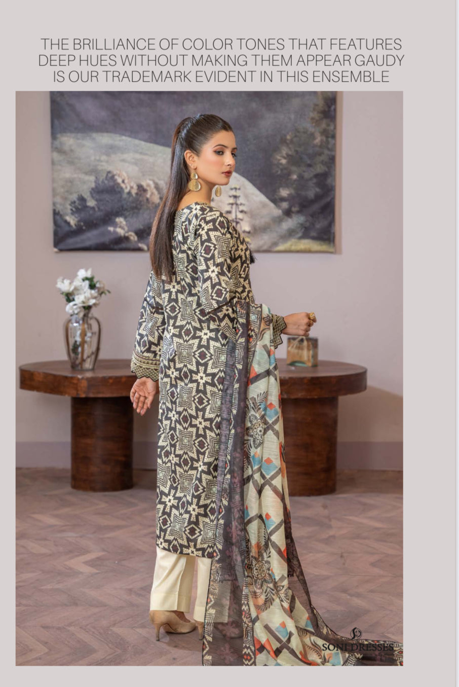 Pakistani Salwar Kameez Set by Saree Ghor Charlotte, traditional ethnic wear for women featuring colorful fabric and intricate design.