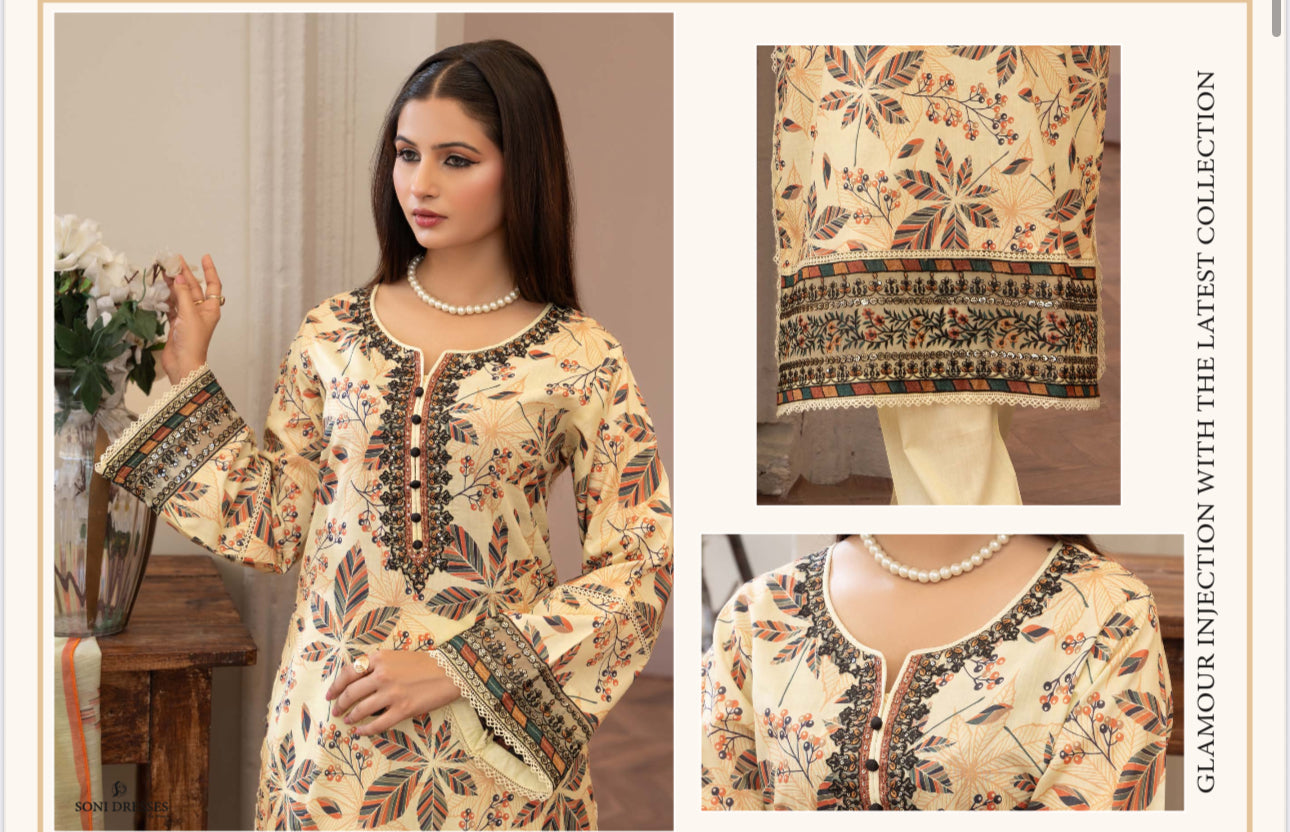 Pakistani Salwar Kameez set by Saree Ghor Charlotte, traditional ethnic wear for women with vibrant fabric and intricate design.