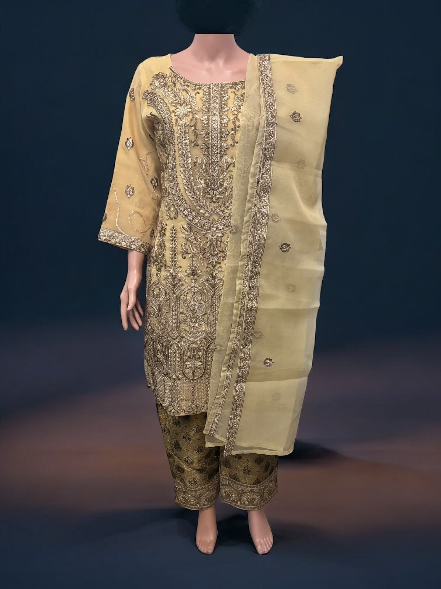 Traditional Saree Ghor Charlotte Salwar Kameez set for women with intricate embroidery and vibrant fabric, cultural ethnic wear for women.