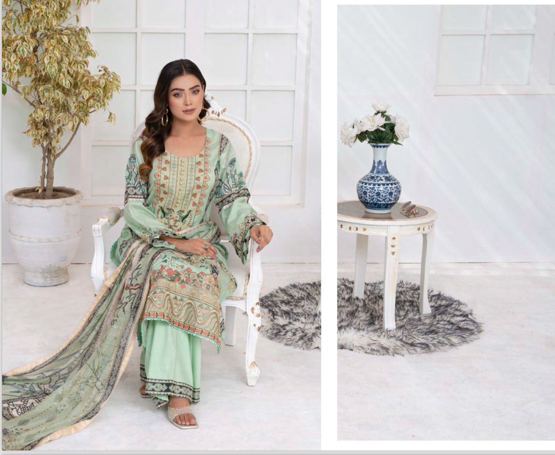 Traditional Pakistani Salwar Kameez suit by Saree Ghor Charlotte, elegant ethnic wear for women with intricate patterns.