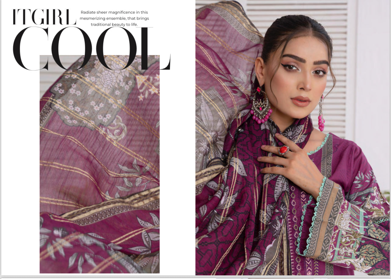 Traditional Pakistani Salwar Kameez suit by Saree Ghor Charlotte, ethnic wear for women with intricate embroidery and vibrant fabric.
