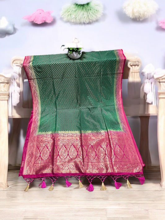 Opara Silk Saree- Traditional Clothing for Women - Saree Ghor Charlotte