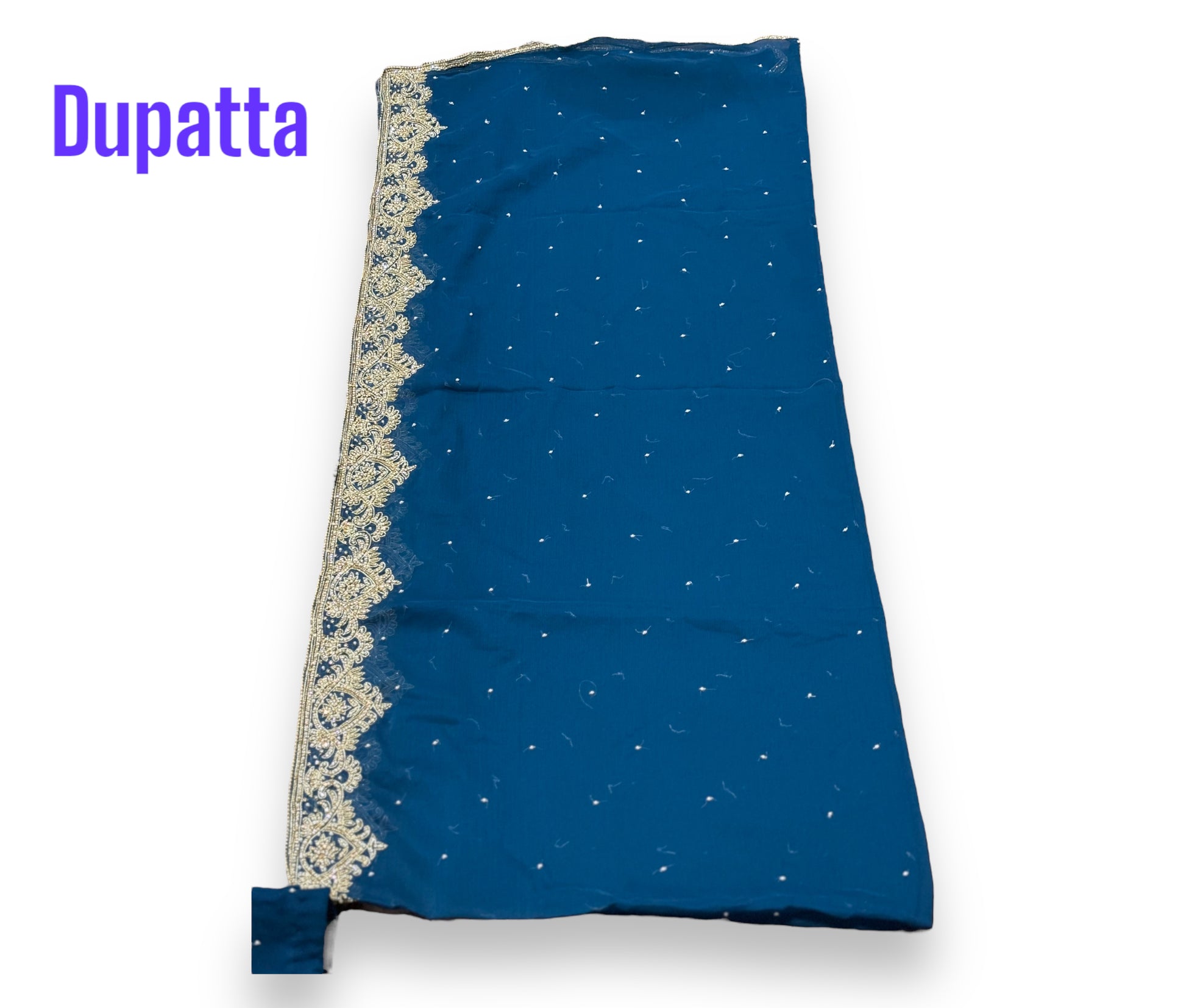 Elegant designer handwork saree with matching dupatta by Saree Ghor Charlotte, featuring intricate embroidery and a 40-size blouse.