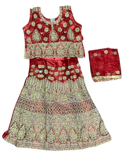 Elegant Grace: Girls Lehenga Choli with Embroidery
