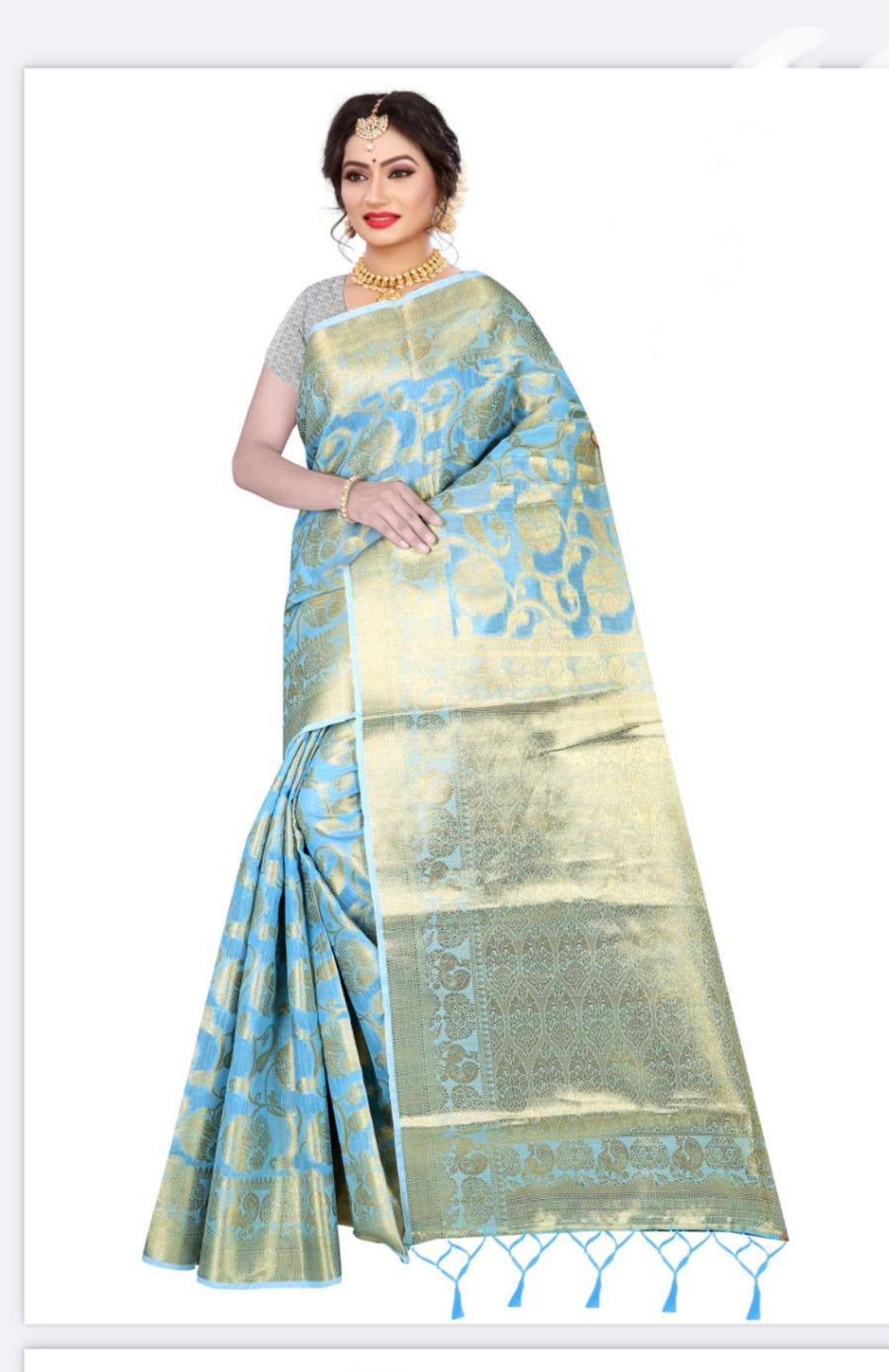 Jeet Rudra- Meesho Silk Weaving Saree-01